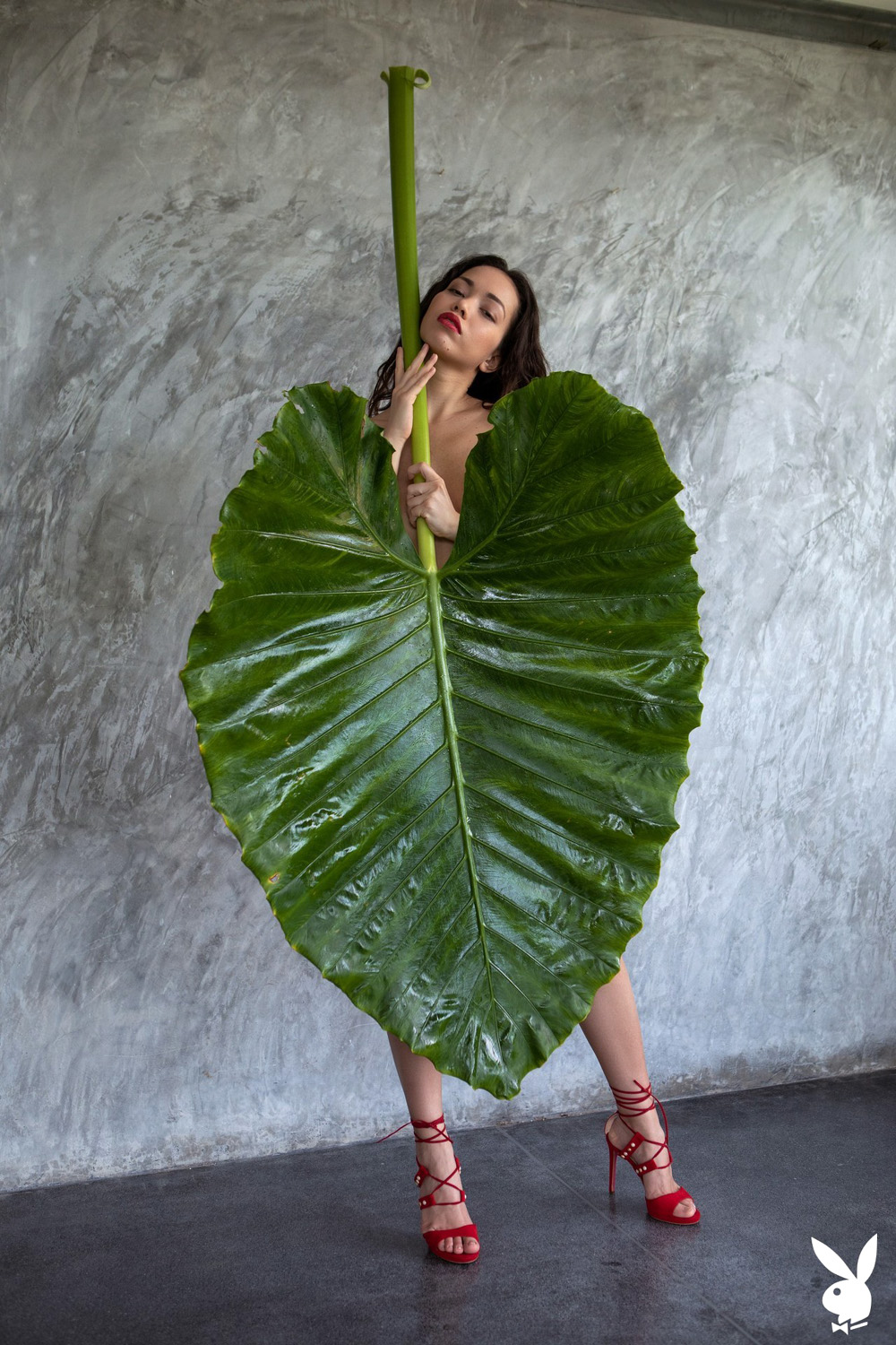 Kit Rysha unveils her spectacular beauty from behind a big green tropical leaf
