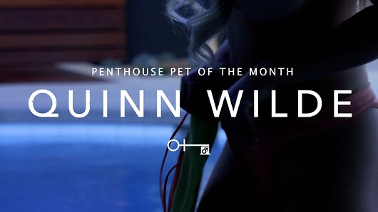 Quinn Wilde in Preview - Pet of the Month August 2020